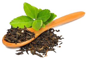 Приготовление и дозировки травяного чая
